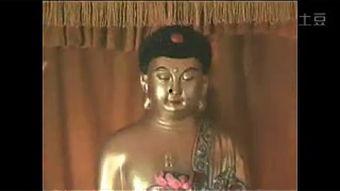 久和尚在线视频,在线视频中的心灵启迪之旅